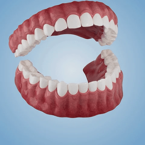Official Store: QlAWI™Adsorptive denture(Limited time discountlast 30 minutes